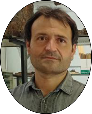 Pedro Lucha