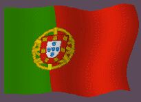Ponencia en Portugues